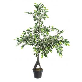 Bizzotto pianta ficus variegato con vaso x760f